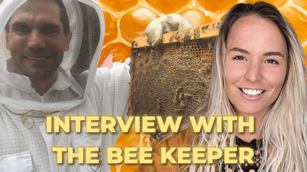 Interview with The Bee Keeper